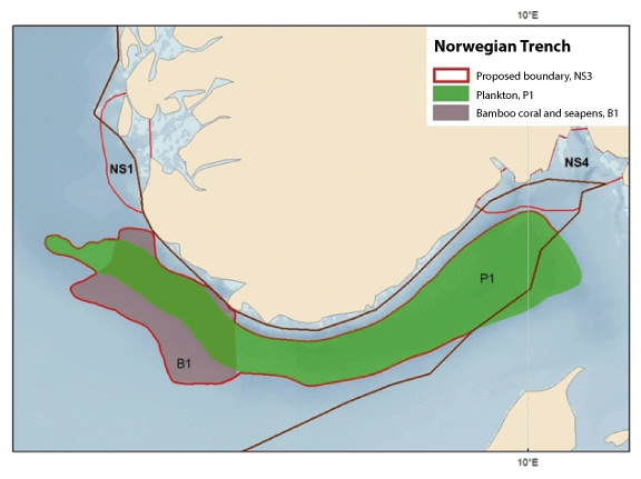 Figure 4.13 Map showing important ecosystem components in the Norwegian Trench. Winter distribution of copepods in the Norwegian Trench (P1) and core areas for bamboo coral (Isidella lofotensis) and several seapen species (B1). The map is based on relative quant...