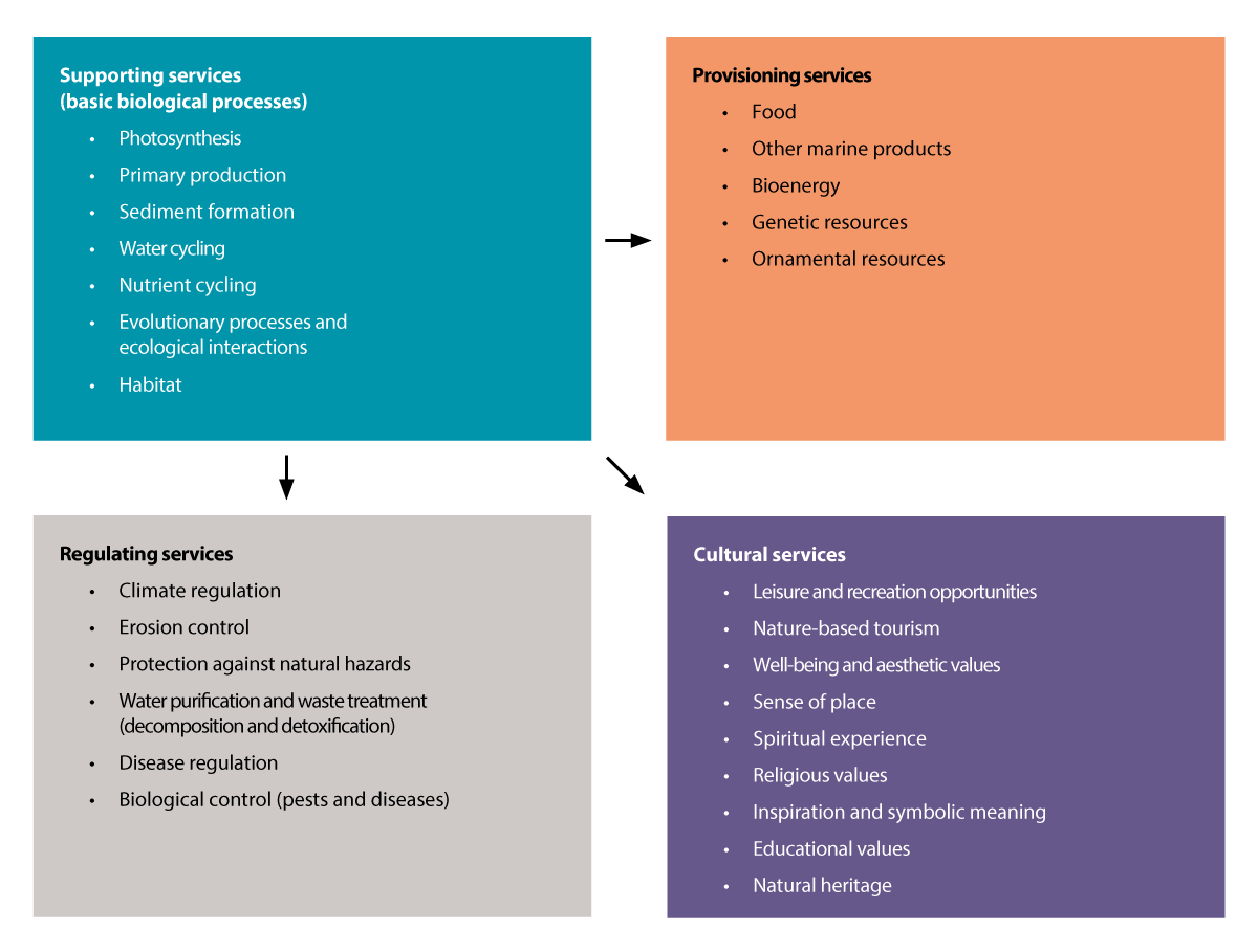 Figure 4.19 The four categories of ecosystem services, with examples that are relevant to marine and coastal waters.