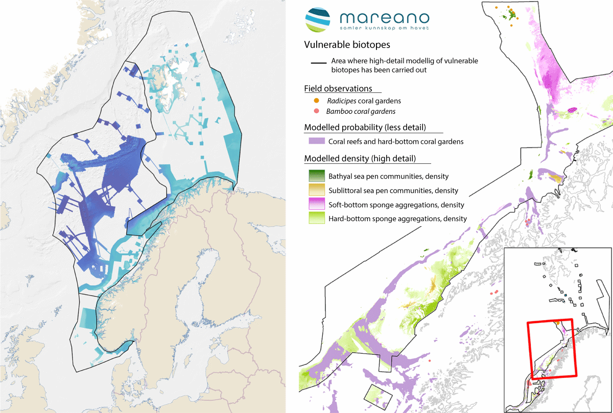 Figure 4.20 Mapping the seabed. Areas where the MAREANO programme has mapped depth and topography or obtained data from other sources (left). Vulnerable habitats modelled on the basis of data collected by the MAREANO programme (right).