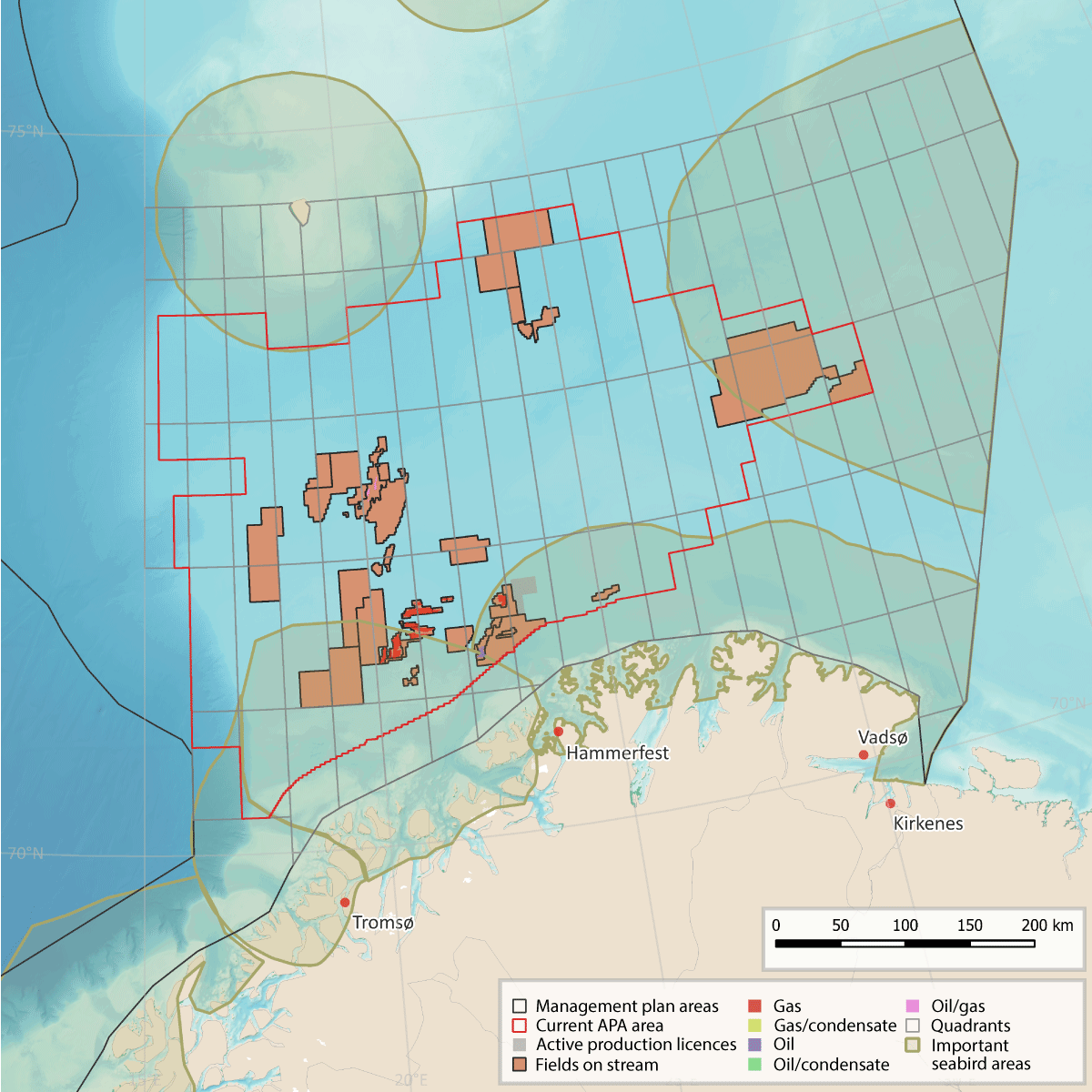 Figure 6.5 Map showing petroleum activities and areas that are important for seabirds in the Barents Sea.