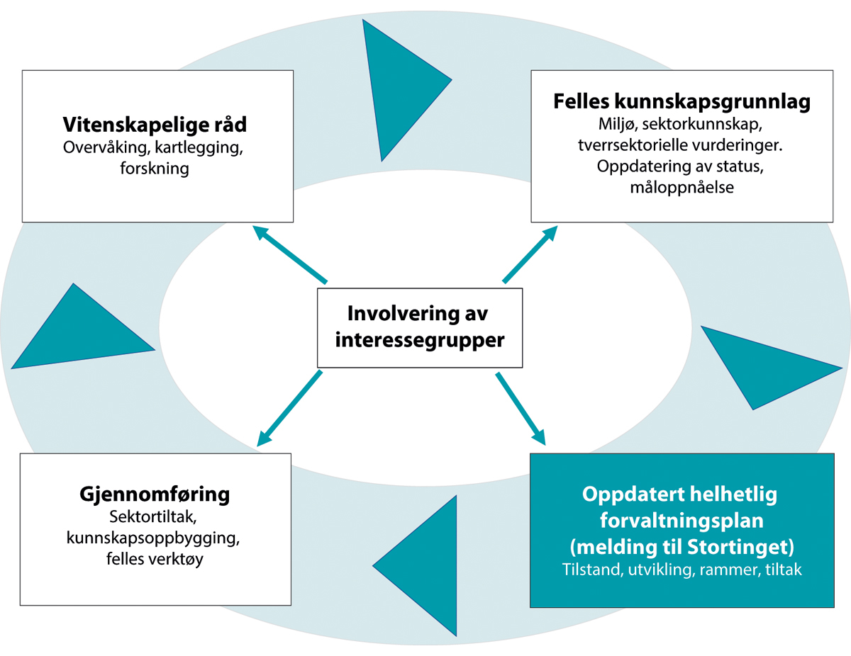 Figur 2.1 Helhetlig, økosystembasert havforvaltning; fireårssyklus for havforvaltningsplanene.