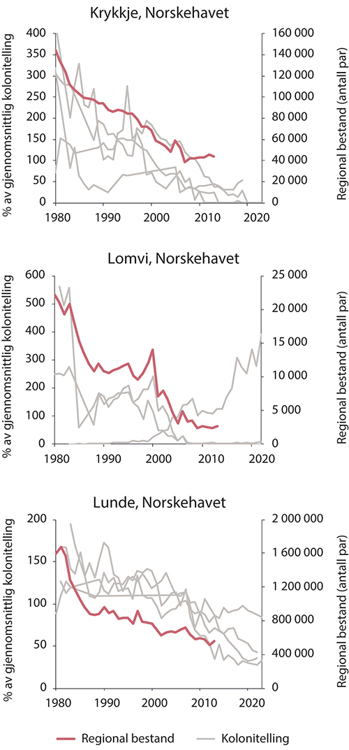 Figur 3.14 Sjøfuglbestander i Norskehavet. Bestandsutvikling for krykkje, lomvi og lunde. Tykk rød strek viser estimert bestandsstørrelse, tynne grå streker viser bestandsovervåking i enkeltkolonier.