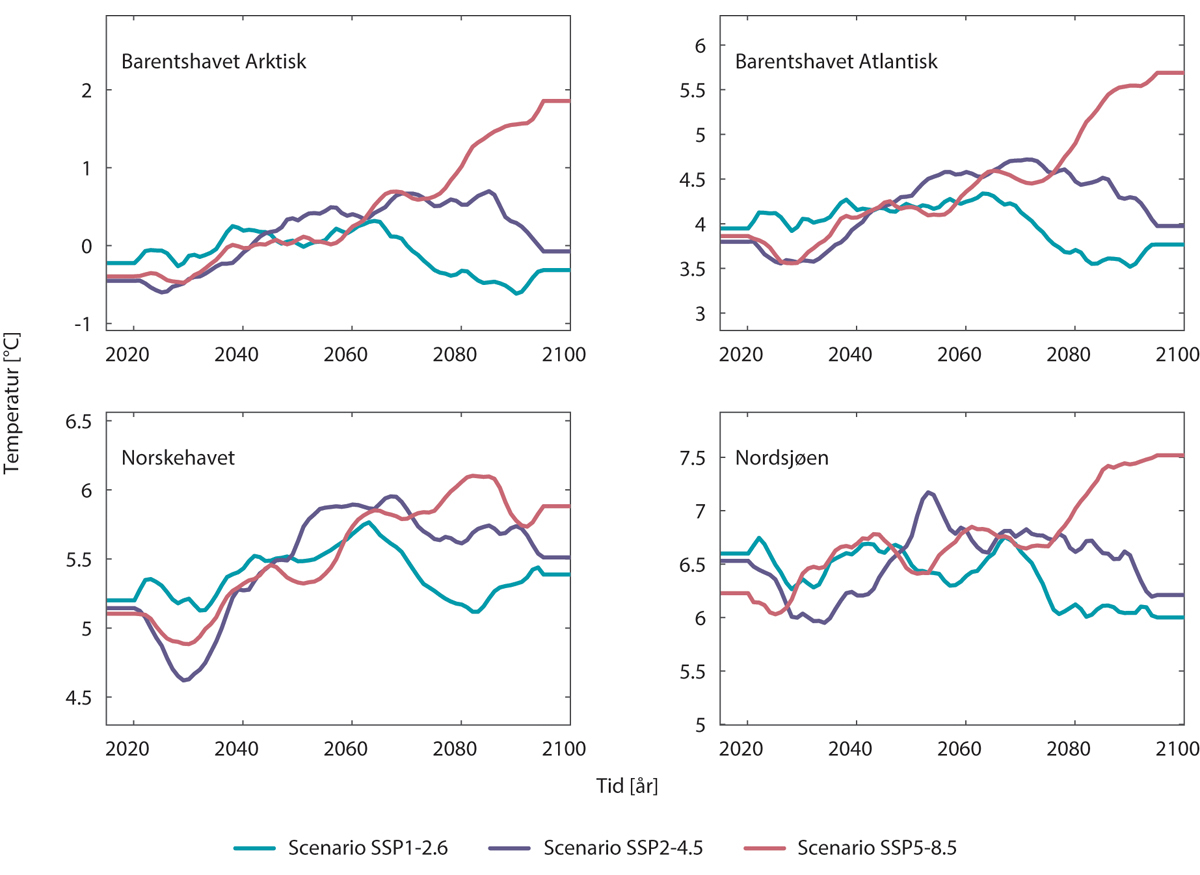 Figur 3.23 Fremskrevet havoverflatetemperatur (°C) i mars for perioden 2015–2100 i ulike havbassenger og tilsvarende kystregioner. Fargede tidsserier indikerer utslippsscenarioene SSP1-2.6 (blå), SSP2-4.5 (lilla) og SSP5-8.5 (rød). Det lave SSP1-scenarioet repr...