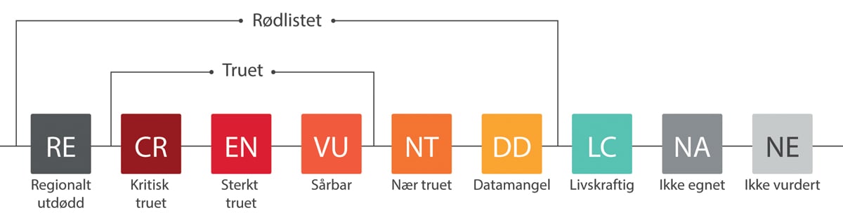 Figur 3.9 Rødlistekategorier for arter.