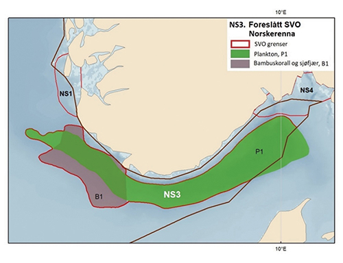 Figur 4.13 Kart over miljøverdier i Norskerenna. Utbredelse av overvintringsområdet for hoppekreps i Norskerenna og de tilstøtende kjerneområdene for bambuskorall (Isidella lofotensis) og flere arter sjøfjær. Kartet er basert på relative mengder i trålbifangst ...