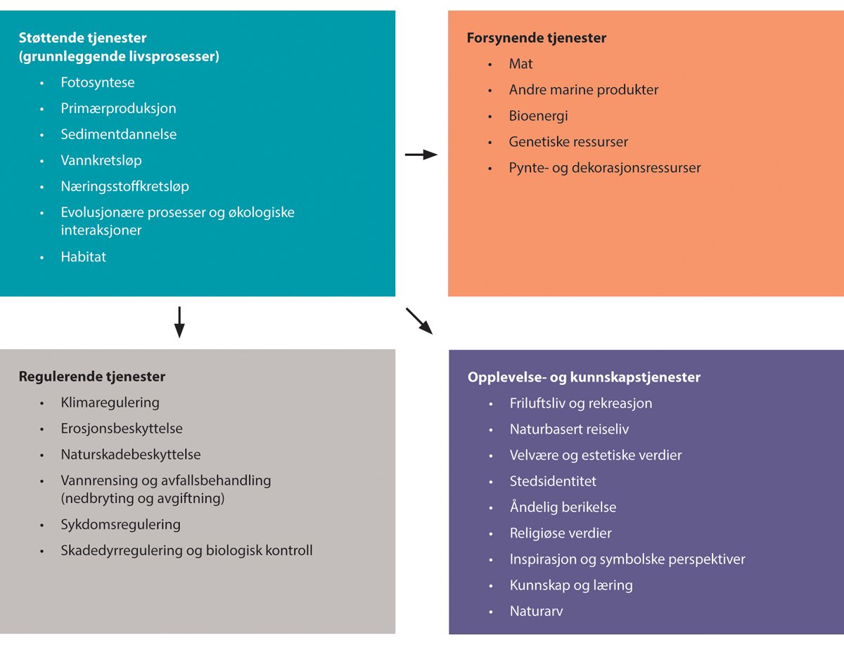 Figur 4.19 Økosystemtjenester. Fire kategorier eksemplifisert med tjenester fra kysten og havet.