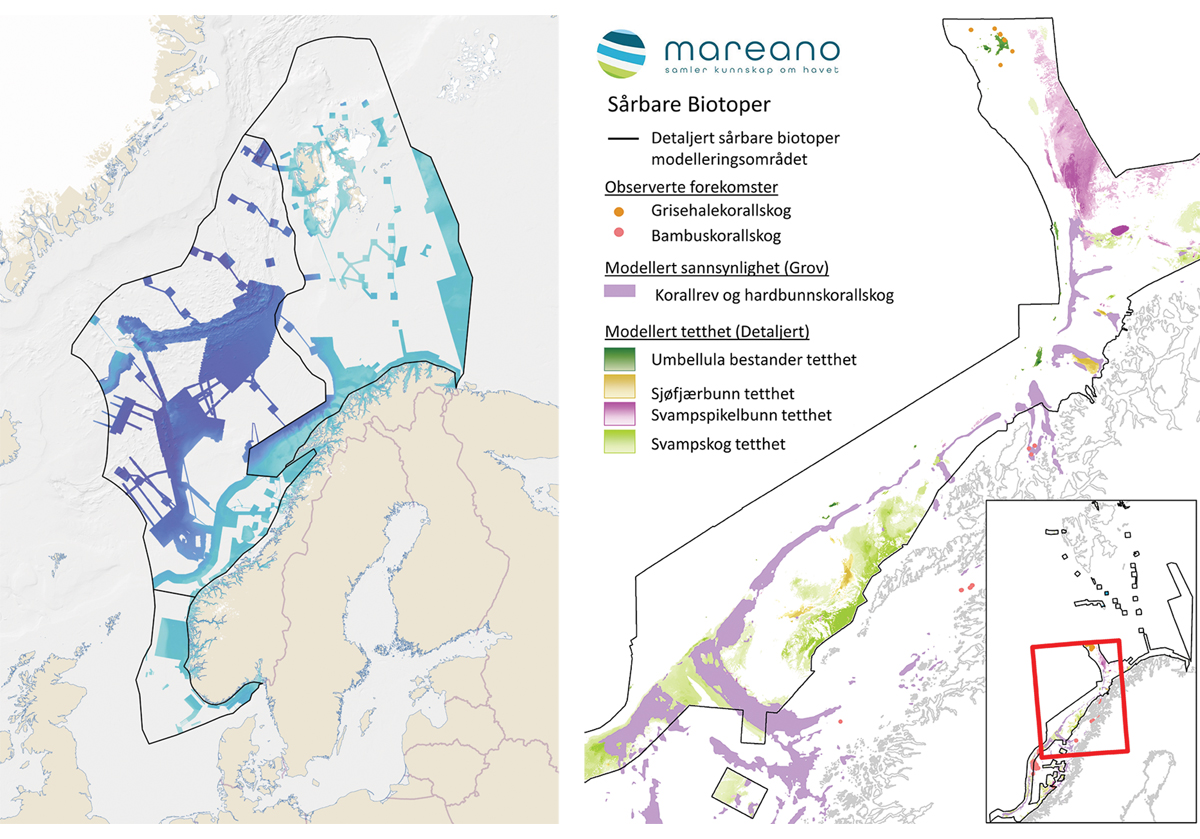 Figur 4.20 Kartlegging av havbunn. Områder hvor dybde og havbunnsterreng er kartlagt eller innhentet fra andre kilder av Mareano-programmet (venstre). Sårbare biotoper modellert fra data innsamlet av Mareano-programmet (høyre).