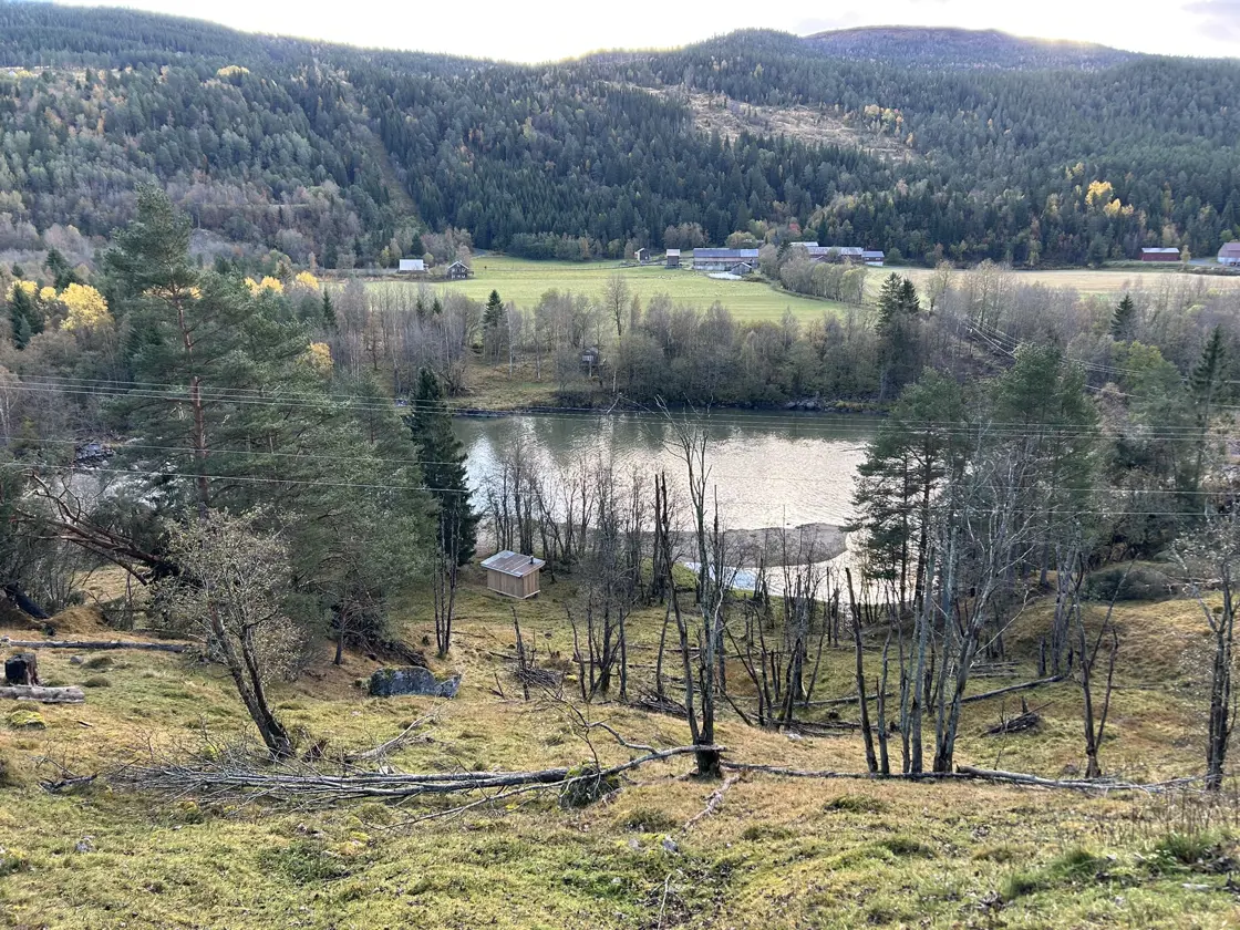 Gjengrodd gammel kulturmark er restaurert og tatt i bruk til nye gårdsnære beiter på gården til Turid og Steinar