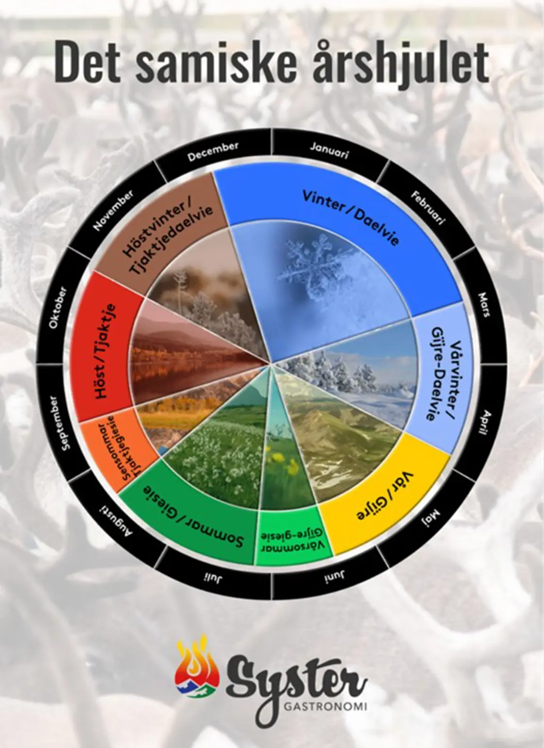 Det samiske årshjulet deles inn i åtte årstider knyttet til reindriften. I SYSTER gastronomi brukes det som utgangspunkt for læring om lokal og samisk matkultur.