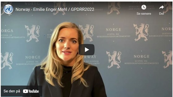 Justisminister Enger Mehl innleder på video på FN-konferanse