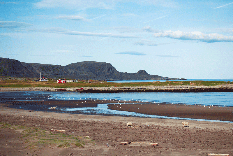 Figur 8.1 Varangerhalvøya. 