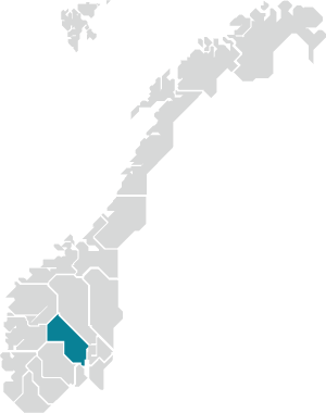 Figur 3.16 Buskerud