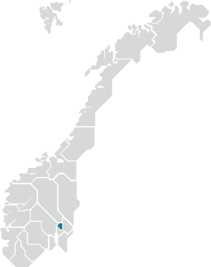 Figur 3.20 Oslo