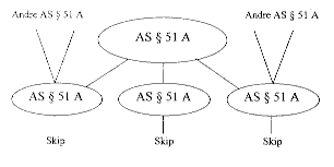 Figur 6.3 Annet aksjeselskap (datterselskap)