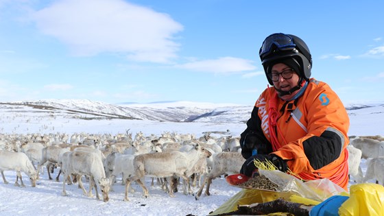 Denne uken har landbruks- og matminister Olaug Bollestad vært på befaring på Vest-Finnmarksvidda.