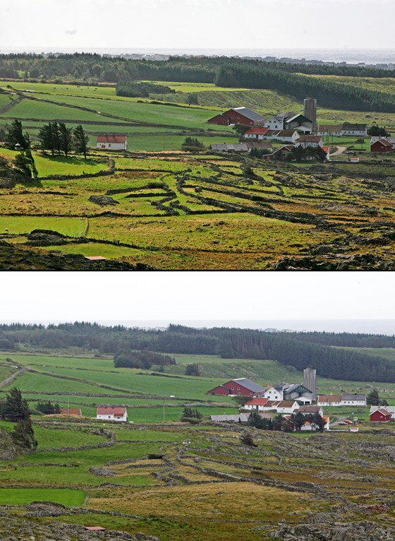 Kjølleberg og Jølle sett fra Håle. Legg merke til alle steingjerdene i landskapet.