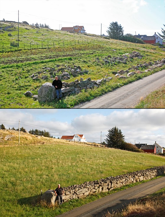 Tore Mikalsen på Jølle viser fram resultatet av istandsetting av steingard og rydding av beitemark.