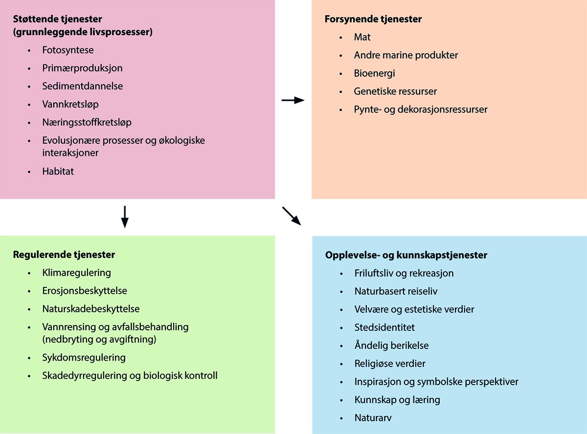 Figur 14.1 Økosystemtjenester. Fire kategorier eksemplifisert med tjenester fra kysten og havet.