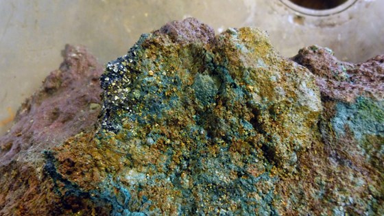 Picture of sea bed minerals. 