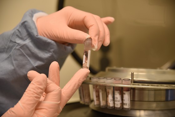 Prøvene skal gjennom en risteprosess for å bli flytende før de kan analyseres videre. 