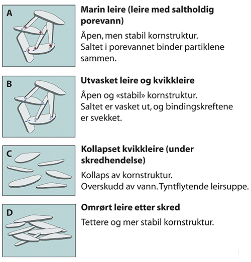 Figur 2.1 Kornstruktur i kvikkleire før og etter et skred.

