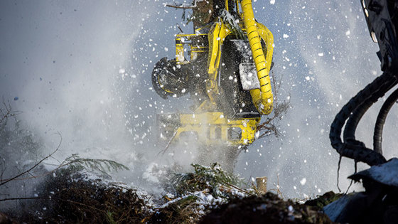 Det er stor aktivitet i skogane i fylket.