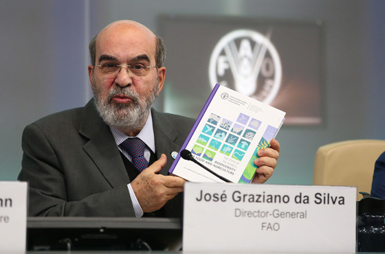 – Biodiversitet er avgjørende for å sikre global matvaresikkerhet. Vi må bruke biodiversitet på en bærekraftig måte, slik at vi bedre kan møte klimaendringer og produsere mat på en måte som ikke skader vårt miljø, sa FAOs generaldirektør José Graziano da Silva da han lanserte statusrapporten i Roma forrige uke. 