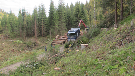 For 2019 er det også øremerket 8 millioner kroner til miljøtiltak i skogbruket. 