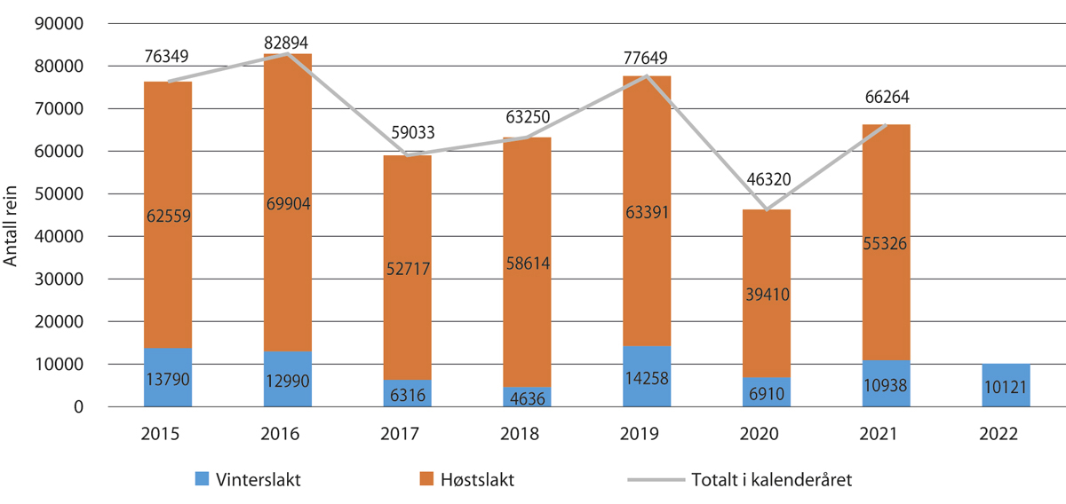 Figur 5.5 Antall slakt til slakteri per kalenderår 2015–20221, fordelt på høst- og vinterslakt