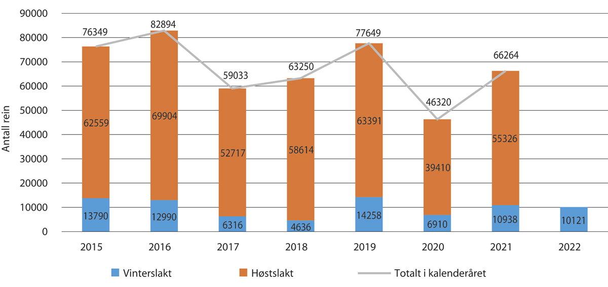 Figur 5.5 Antall slakt til slakteri per kalenderår 2015–20221, fordelt på høst- og vinterslakt

