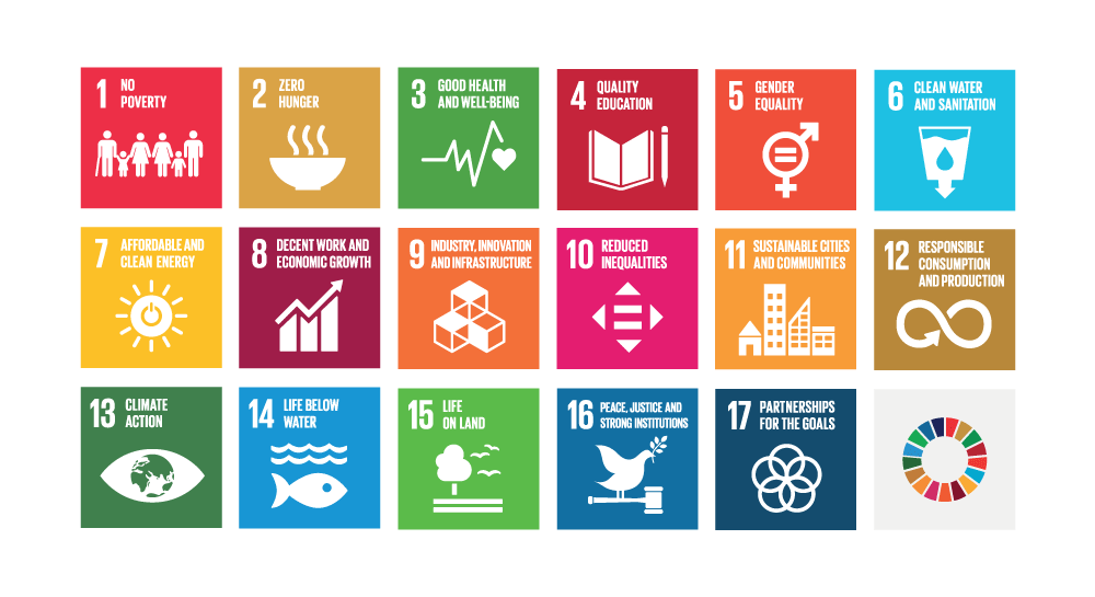 Figure 2.11 The UN Sustainable Development Goals.
