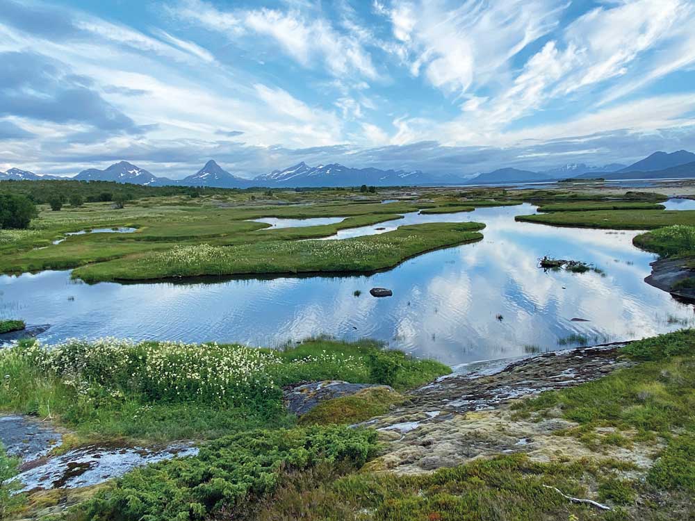 Figure 4.8 Most wetlands contain large quantities of carbon and are habitats for a wide variety of species. From Steinslandsosen nature reserve, Hamarøy, Nordland county.