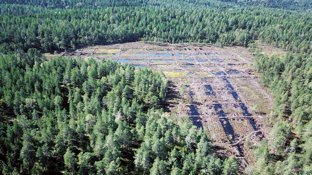 Figure 4.9 Ødegårdsmosan in Oslo, where peat has previously been extracted. Steps have been taken to restore the bog.
