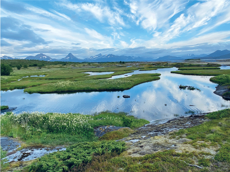 Figur 4.8 Dei fleste våtmarker inneheld store mengder karbon og er levestad for mange artar. Steinslandsosen naturreservat, Hamarøy kommune.
