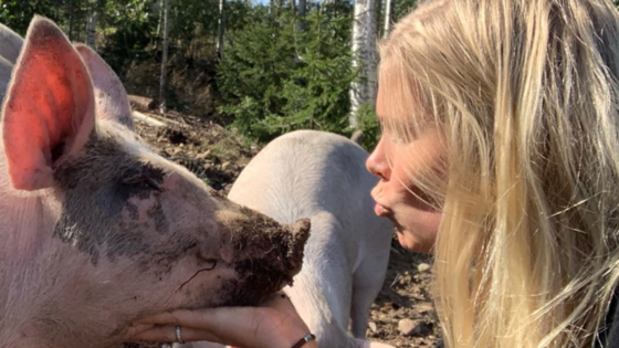 Gård med egen grisestrand er Viken-vinner av Bedriftsutviklingsprisen i landbruket