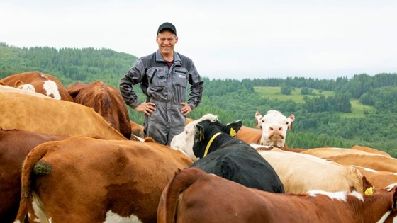 Ottestad Gård vinner landbrukspris i Troms og Finnmark