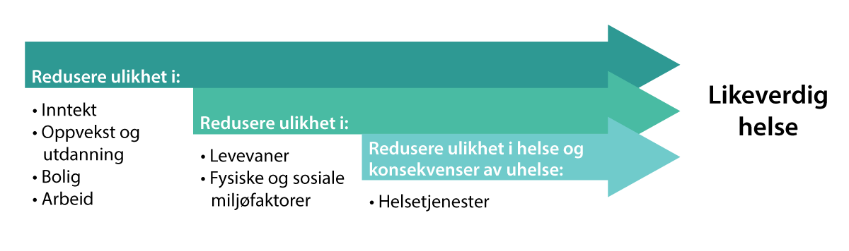 Figur 4.4 Eksempler på områder der man kan gjøre en innsats for å redusere sosiale helseforskjeller. De grunnleggende faktorene som påvirker hele årsaksbildet står lengst til venstre