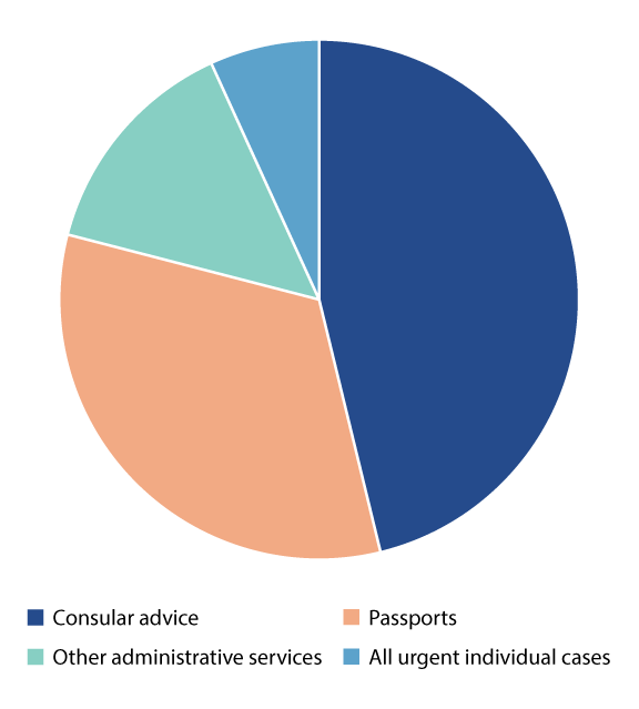 Figure 3.5 Distribution of different types of consular cases and enquiries