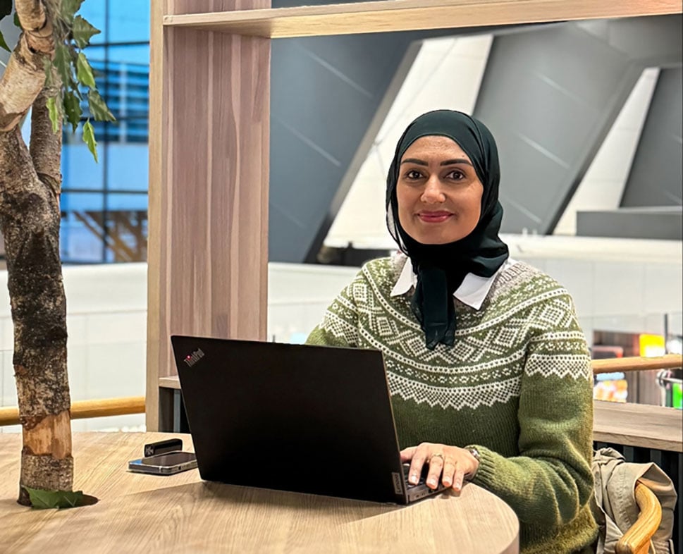 Figur 6.2 Spesialutsendingene for integreringssaker