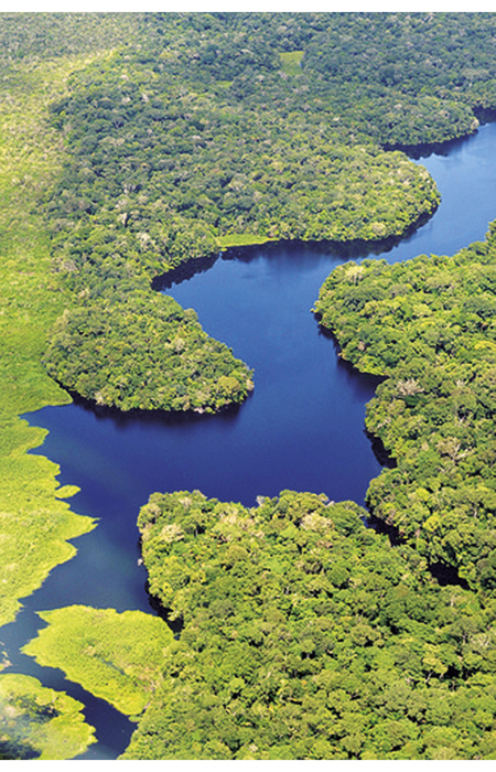 Figur 3.11 Amazonas-regionen