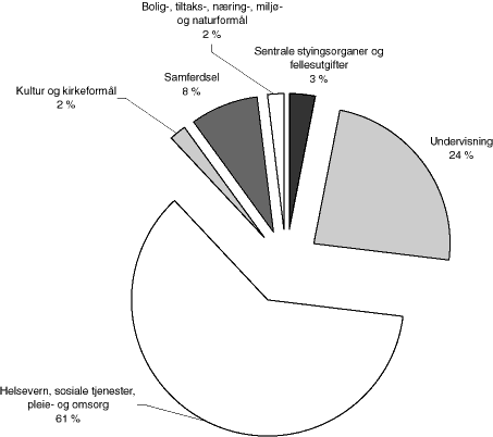 Figur 6.8 Fordeling av driftsutgifter på hovedkapittel. Fylkeskommunene. 1997.