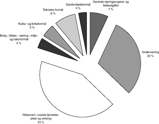 Figur 6.9 Fordeling av driftsutgifter på hovedkapittel. Kommunene inkl. Oslo. 1997.