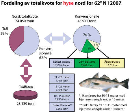 Figur 3.3 Fordeling av totalkvote for hyse nord for 62°N i 2007