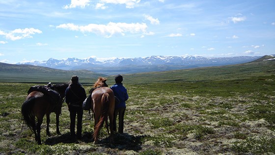 Kvistli Islandshester tilbyr alt fra halvdagsturer til ukelange rideferier, hvor du får sett naturen fra hesteryggen. Turene foregår i det Kvistli selv omtaler som Norges flotteste rideterreng, med blant annet Rondane som nærmeste nabo.