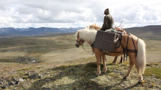 Kvistli Islandshester tilbyr alt fra halvdagsturer til ukelange rideferier, hvor du får sett naturen fra hesteryggen.