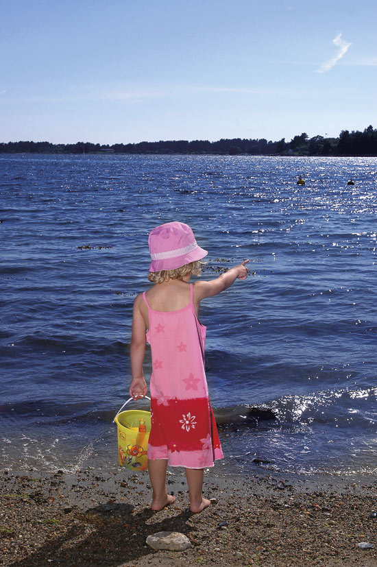Figure 10.1 Sediments in many harbours and fjords are contaminated with
 ecological toxins