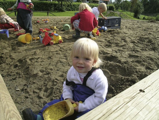 Figure 10.7 Investigations have revealed that soil in many day care centres
 in the largest towns is contaminated