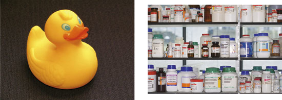 Figure 2.1 Chemicals are found both in finished products and in solid
 and liquid substances and preparations