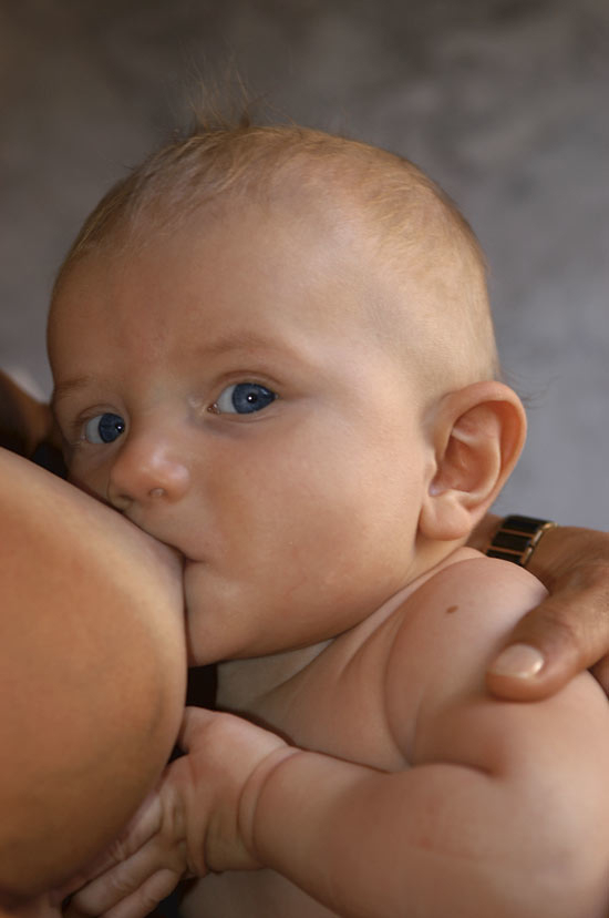 Figure 2.4 Children are exposed to ecological toxins via breast milk