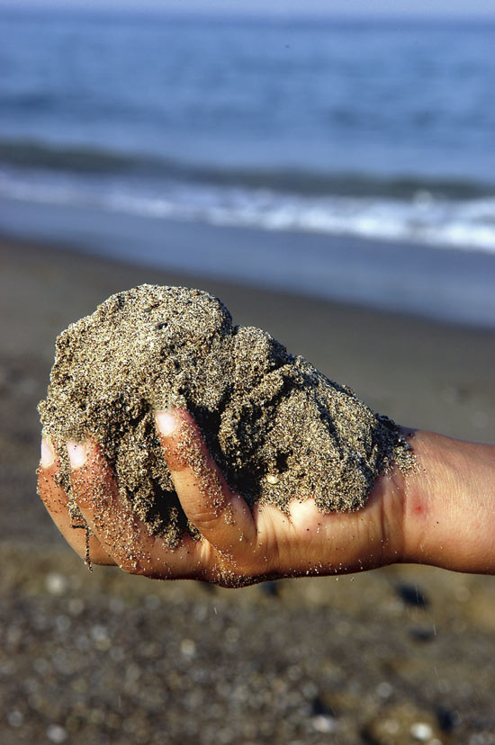 Figure 3.6 Sediments in many fjords and harbours are contaminated with
 ecological toxins